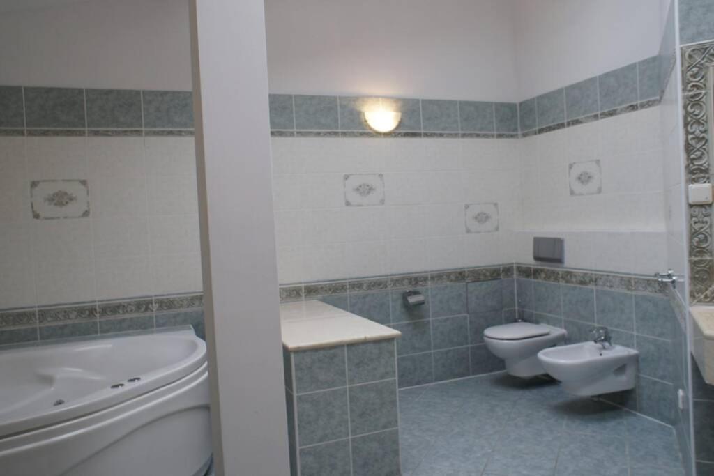 Florianska Penthouse Delux Leilighet Krasków Eksteriør bilde